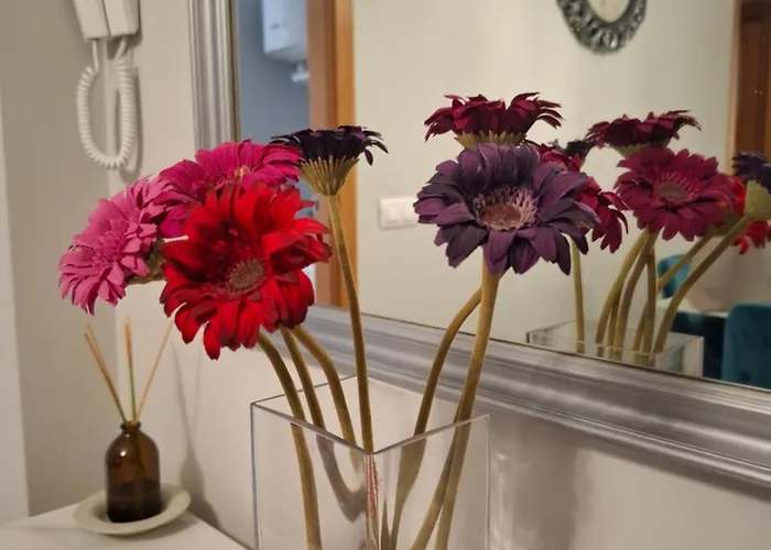 Bonito Lua Daire Villanueva De Arosa